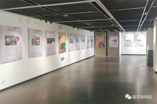 闻香识美食——餐桌上的香料植物展在国家植物园科普馆举办.jpg