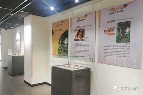 闻香识美食——餐桌上的香料植物展在国家植物园科普馆举办.jpg