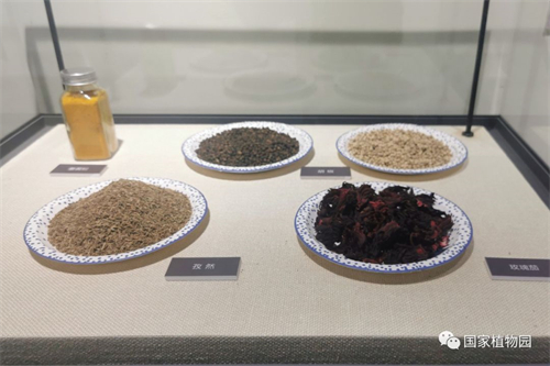 闻香识美食——餐桌上的香料植物展在国家植物园科普馆举办.jpg