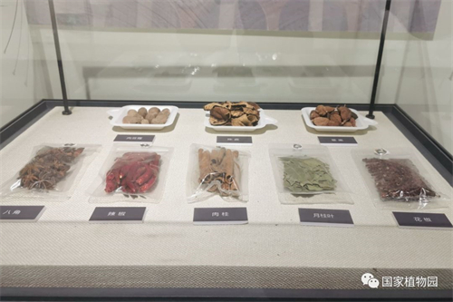 闻香识美食——餐桌上的香料植物展在国家植物园科普馆举办.jpg