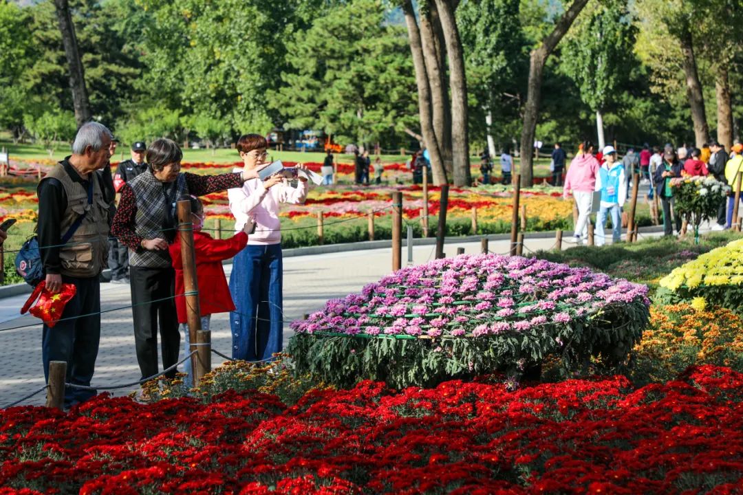 中秋国庆假期 | 459.12万游客到市属公园庆贺祖国华诞，探寻秋日佳节文化