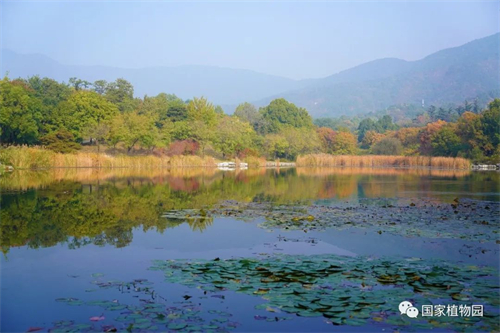 绚丽植物园 扮靓北京城——国家植物园持续做好增彩延绿工作