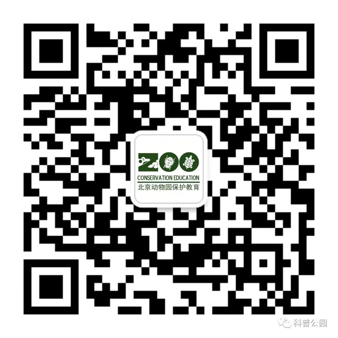 北京动物园保护教育公众号.jpg