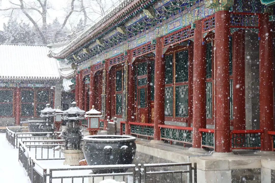 大雪节气 | 市属公园往年雪景合集