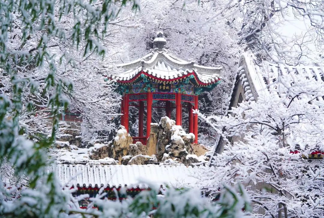 大雪节气 | 市属公园往年雪景合集