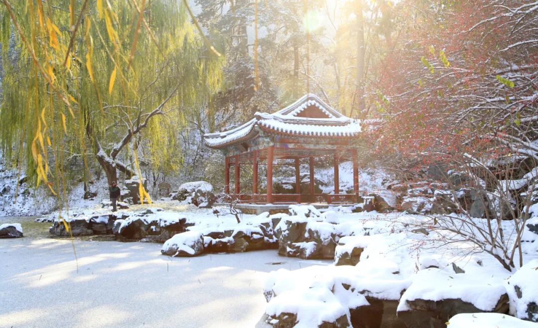 大雪节气 | 市属公园往年雪景合集