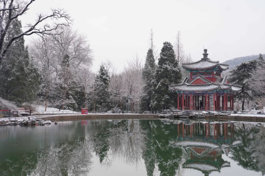 大雪节气 | 市属公园往年雪景合集