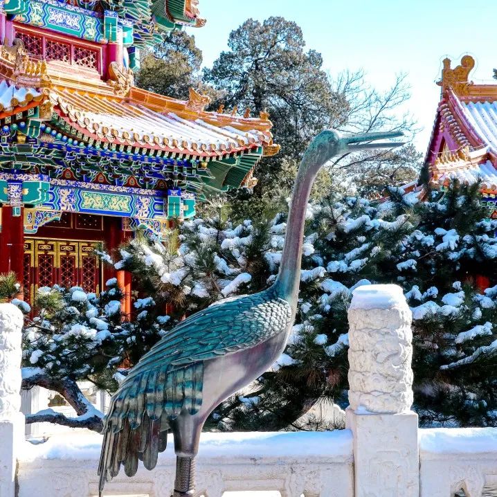大雪节气 | 市属公园往年雪景合集