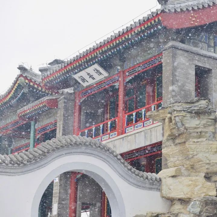 大雪节气 | 市属公园往年雪景合集