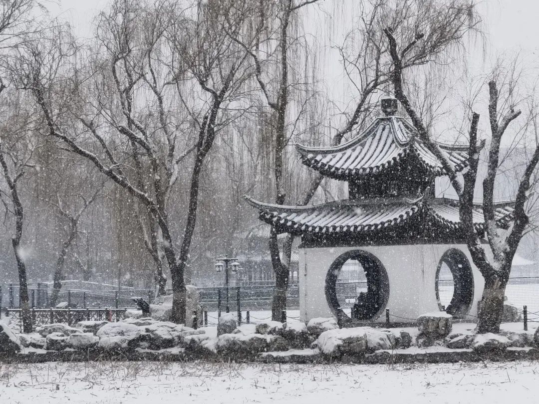 大雪节气 | 市属公园往年雪景合集