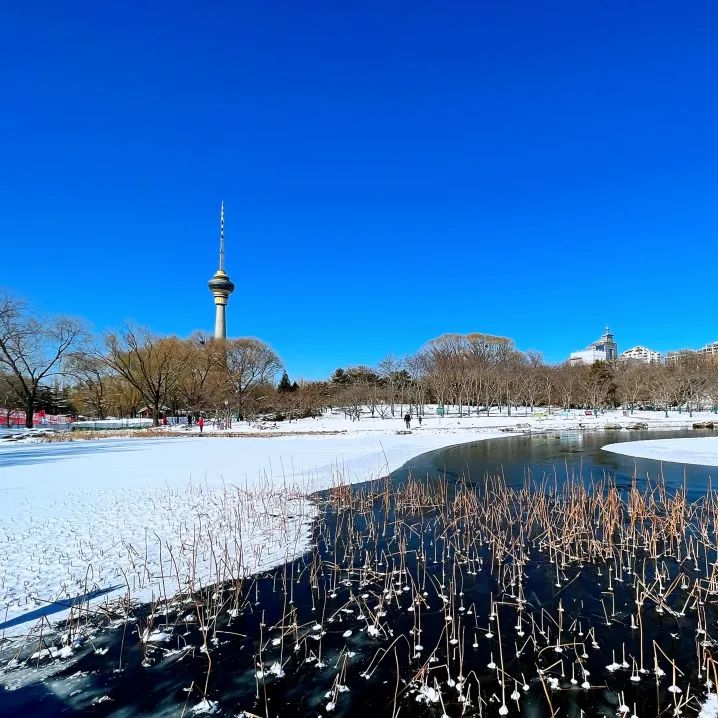 大雪节气 | 市属公园往年雪景合集