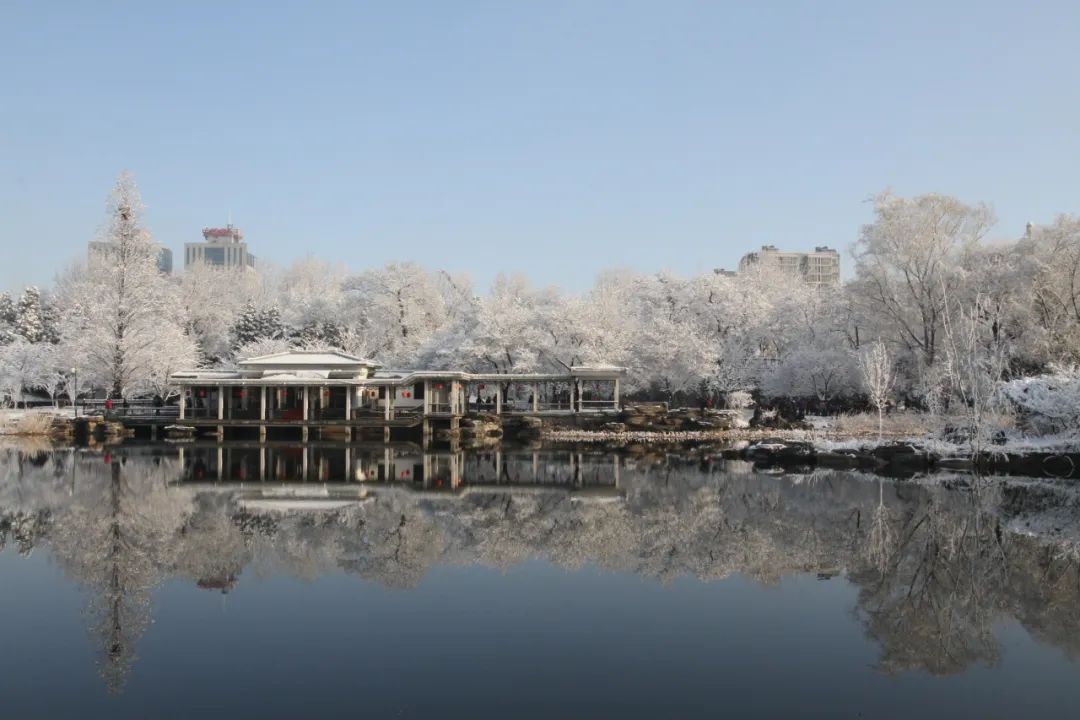 大雪节气 | 市属公园往年雪景合集