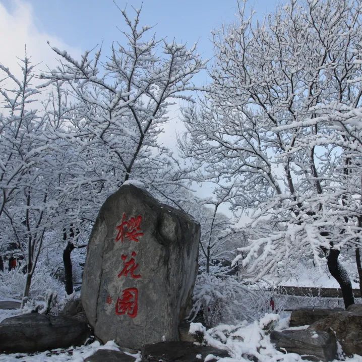 大雪节气 | 市属公园往年雪景合集