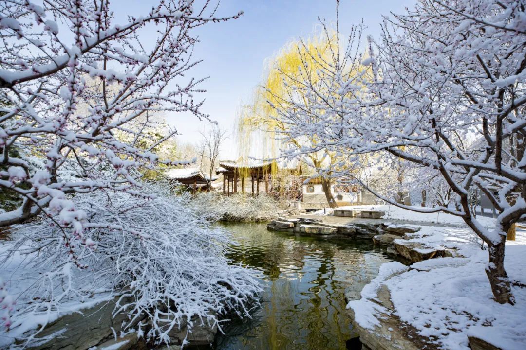 大雪节气 | 市属公园往年雪景合集