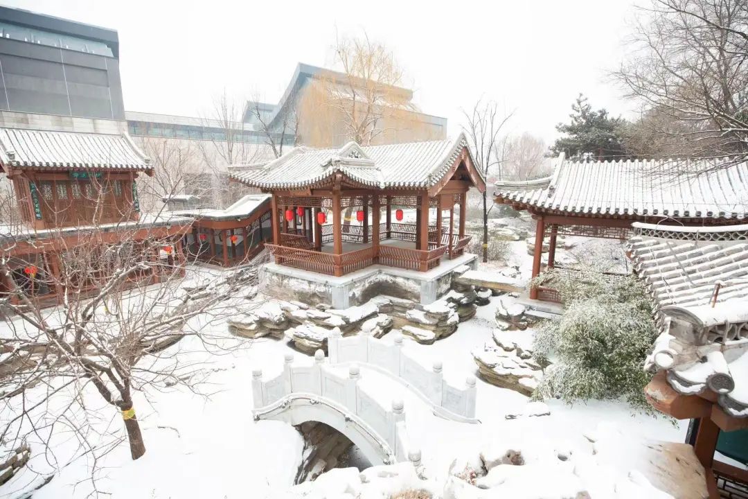 大雪节气 | 市属公园往年雪景合集