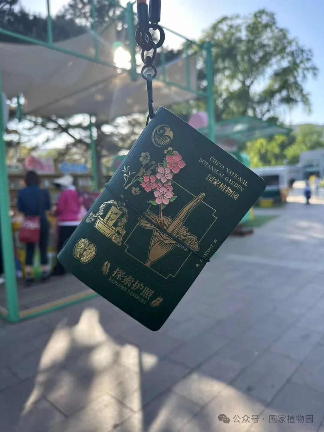 黑色探索护照