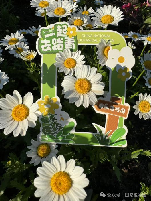 一起去踏青相框