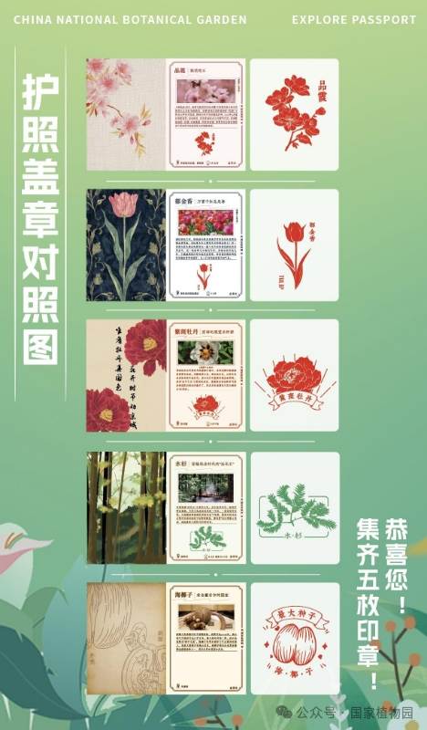 护照盖章对照图