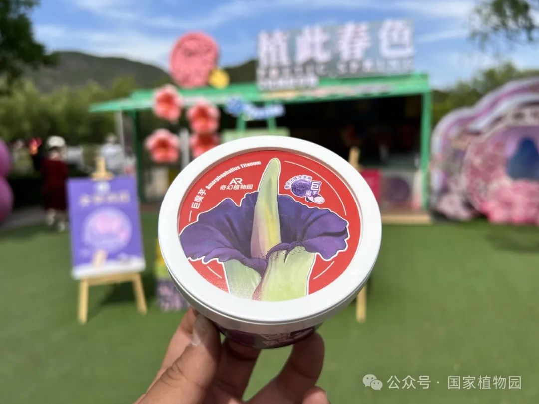 巨魔芋冰激凌