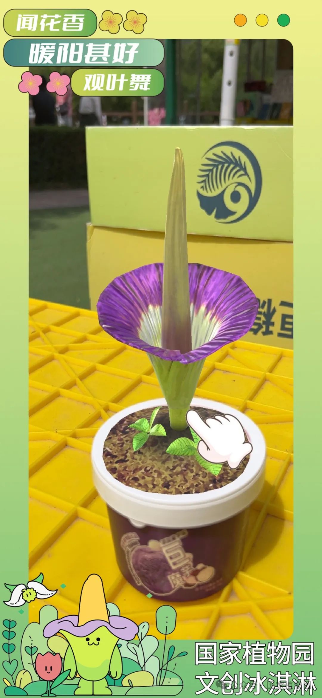 巨魔芋冰激凌