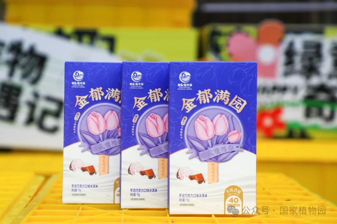 文创冰激凌