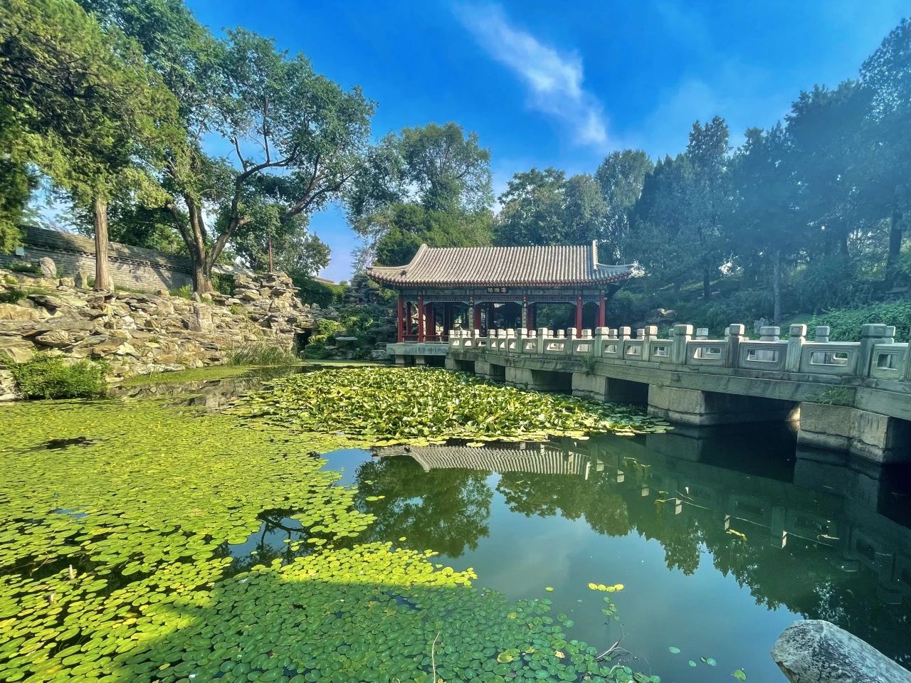 濠濮间.jpg