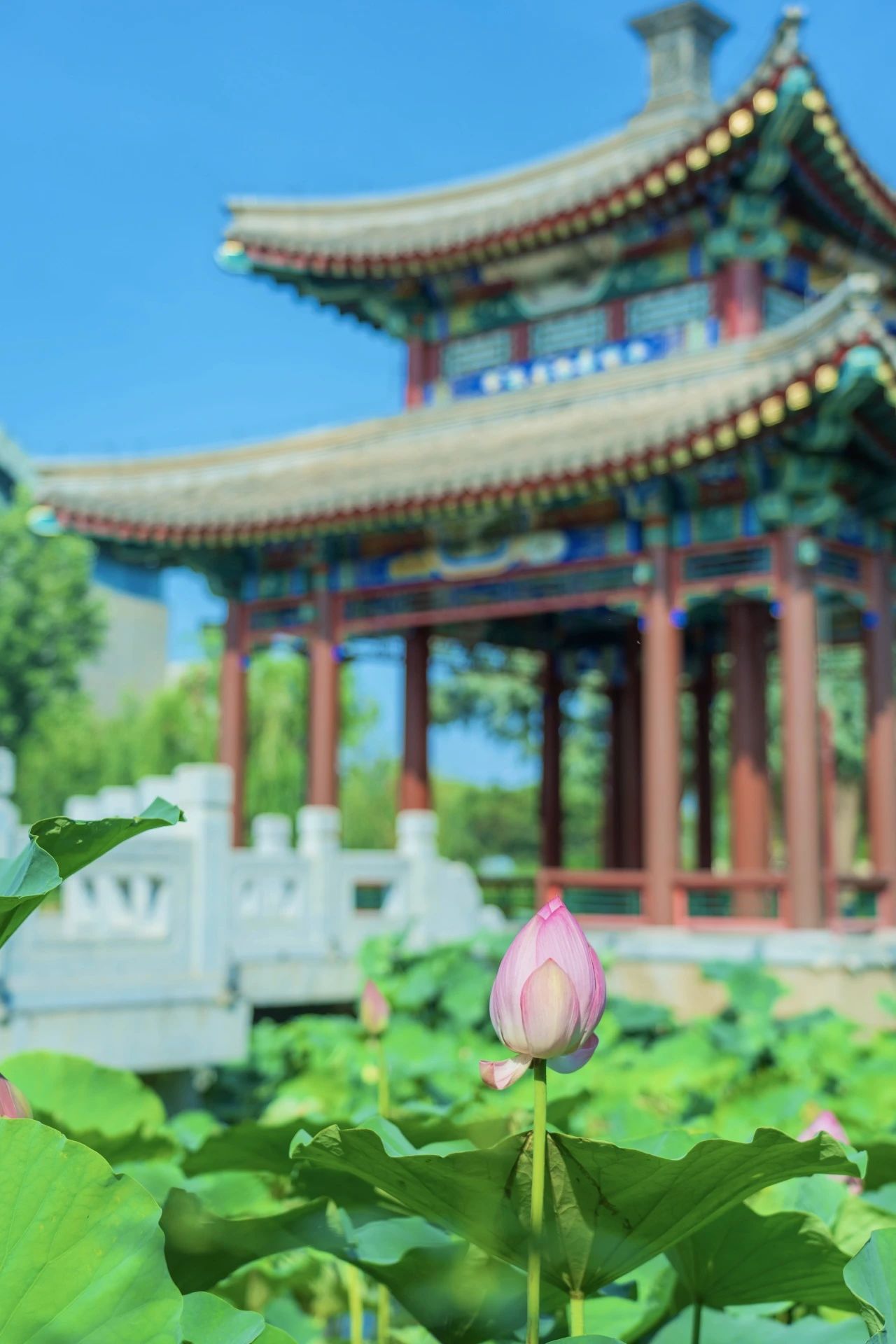 镜影亭.jpg