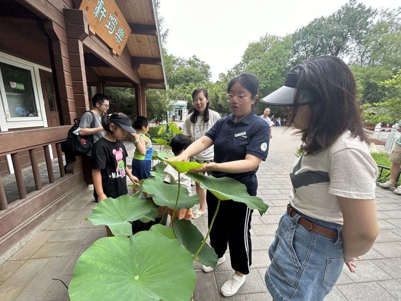 荷塘花语——荷花.jpg