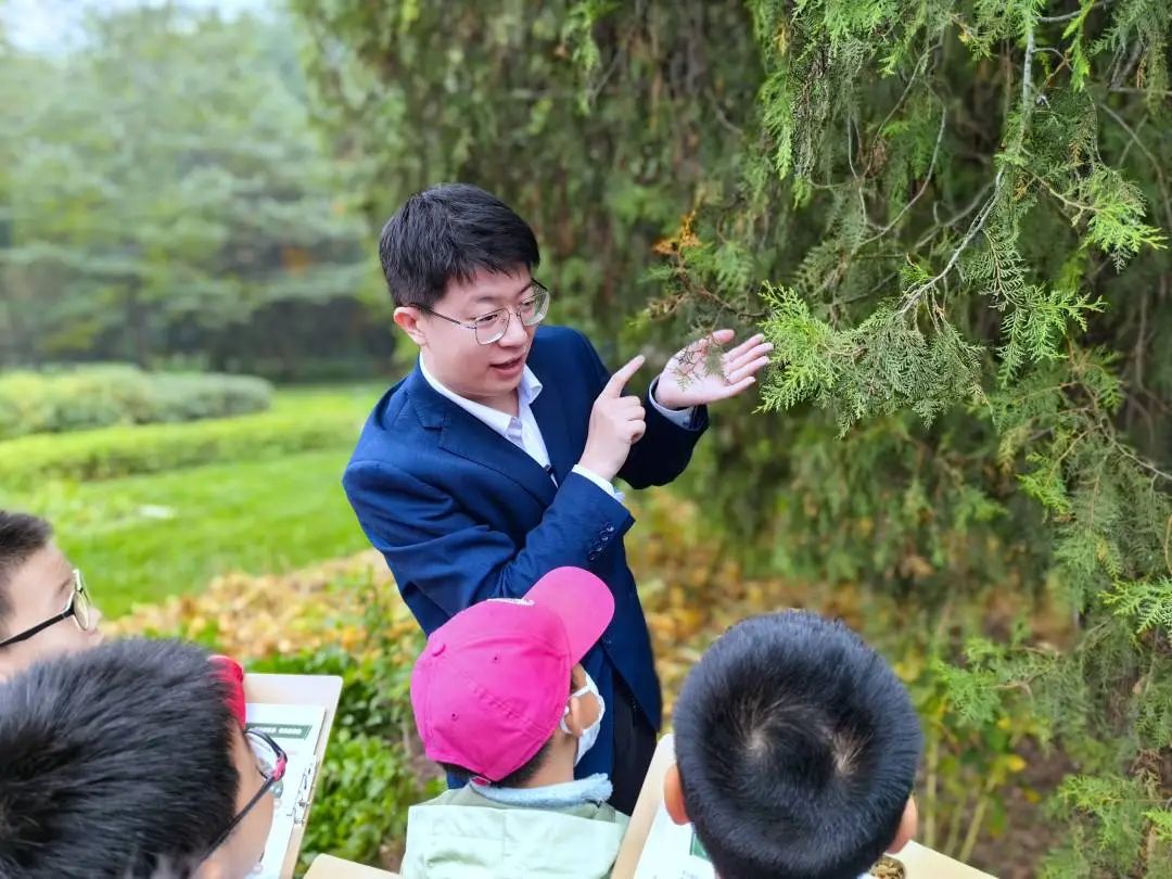 古树自然观察