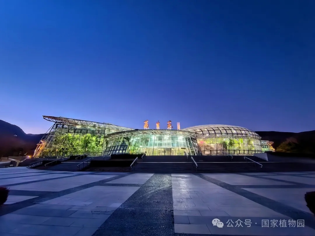夜景