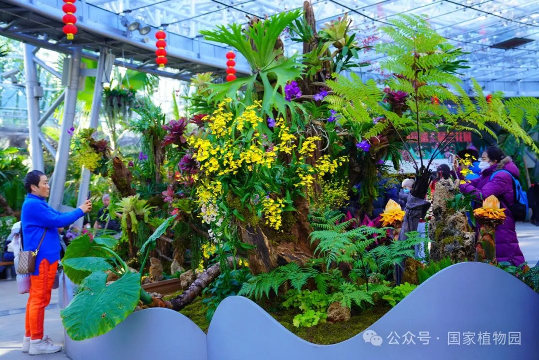 公园景观