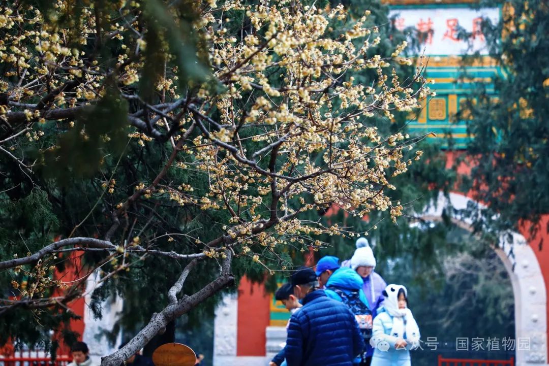 公园景观