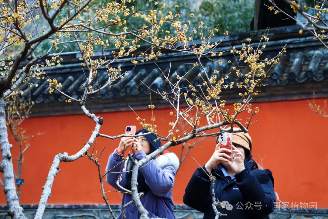 公园景观