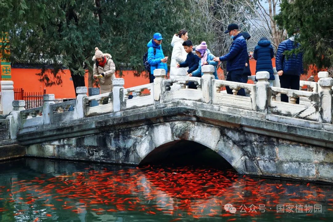 公园景观