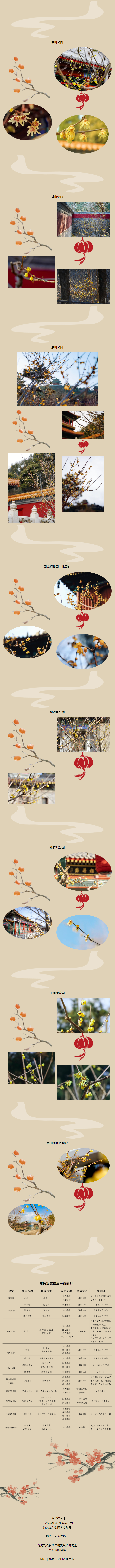 元宵佳节  游园赏“梅” 精彩不停7.jpg