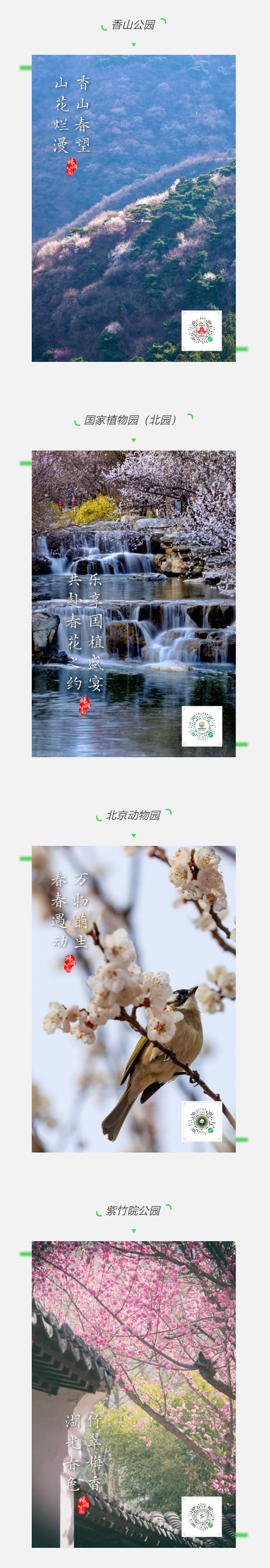 2025赏春之旅即将开启1.jpg