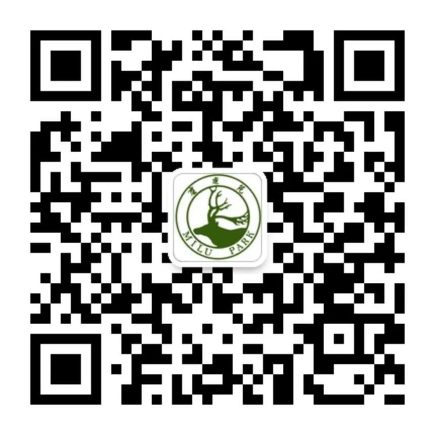 e2754c5840cb48755c0d7730aa69545c_.jpg