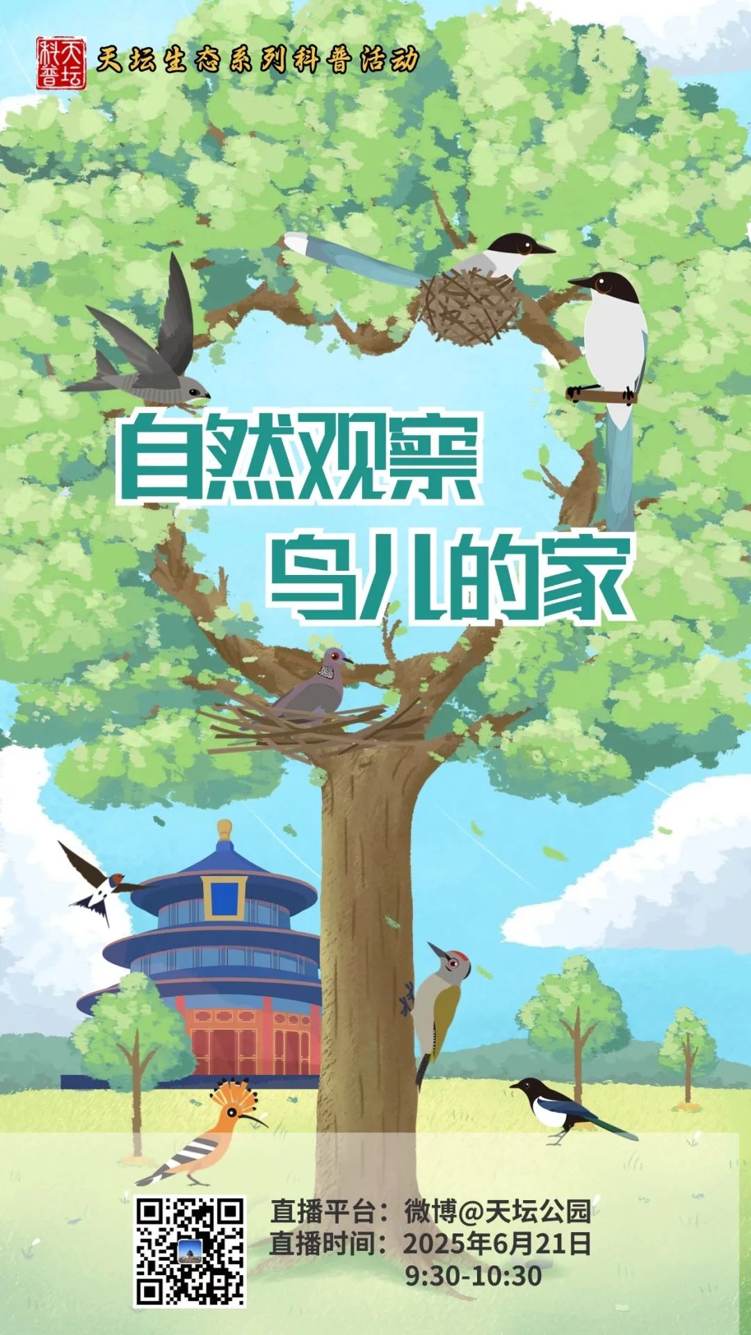 自然观察 鸟儿的家生态科普活动海报.jpg