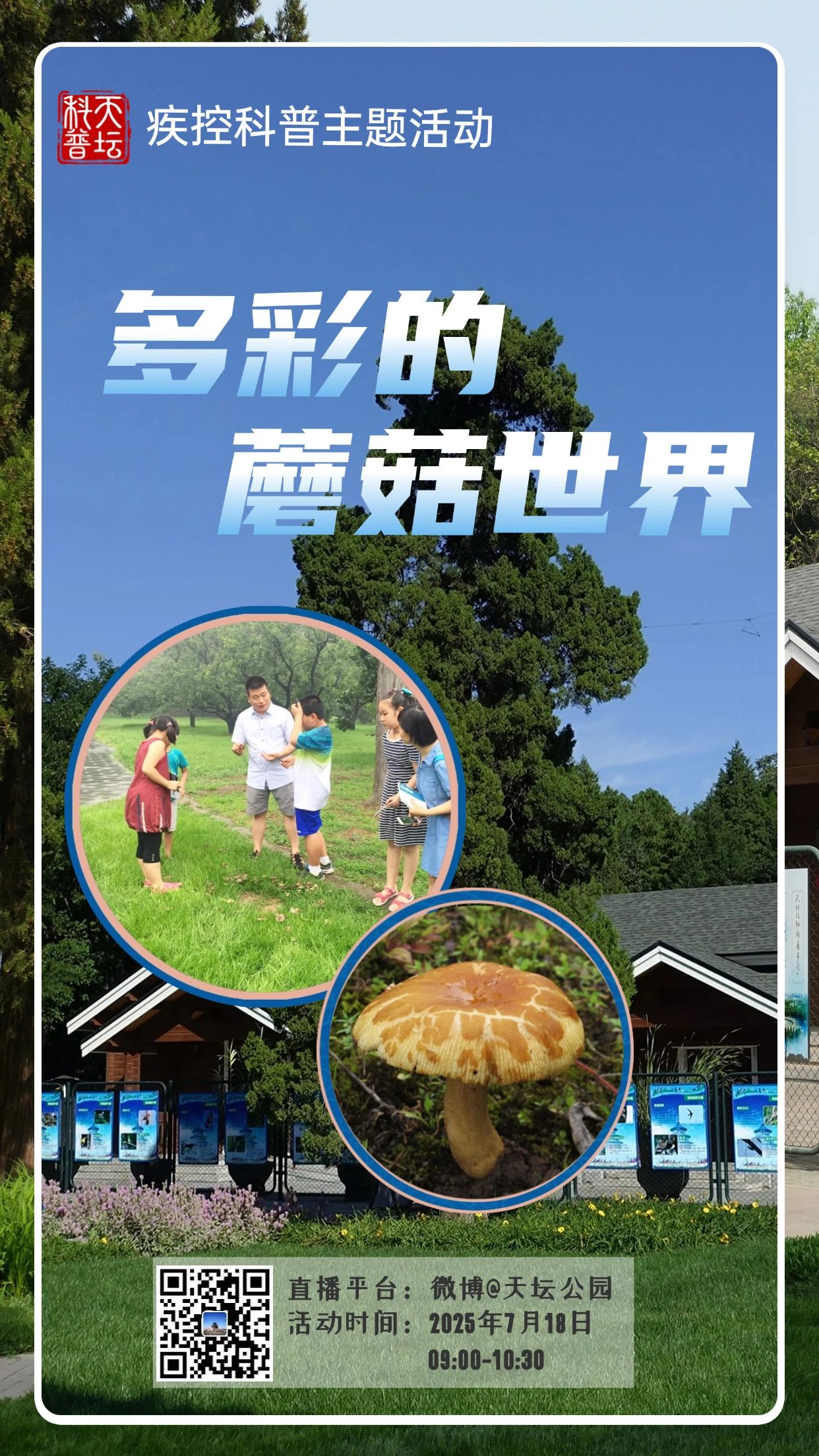 疾控科普主题活动—多彩的蘑菇世界活动介绍.jpg