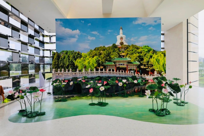 北海白塔及荷花小景.jpg