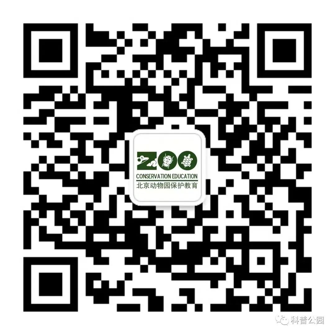 e7d123541af5f6852b32f8cae16e7dea.jpg