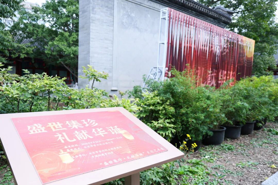 展览信息照片