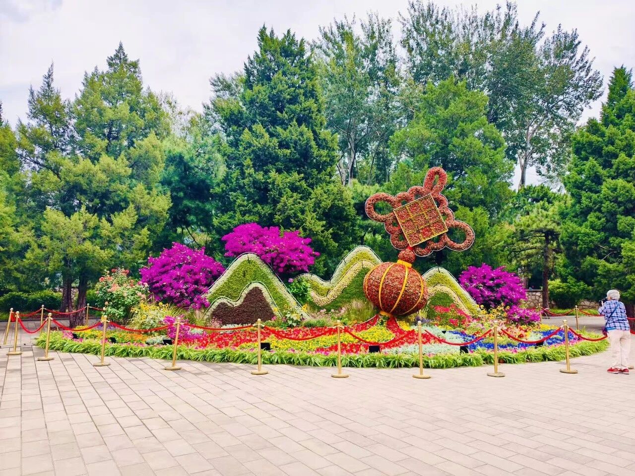 主题花坛照片.jpg