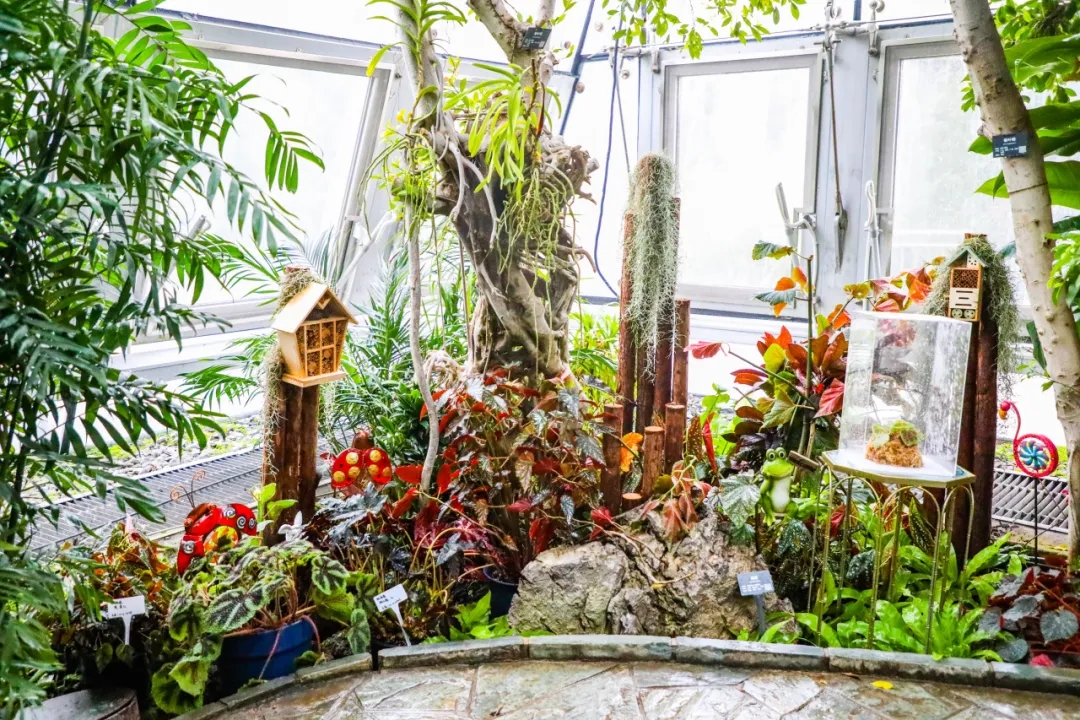 主题景观照片.jpg 主题景观照片.jpg