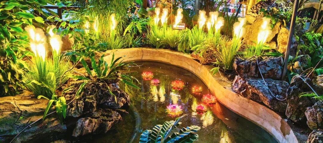 2025年奇妙夜活动照片