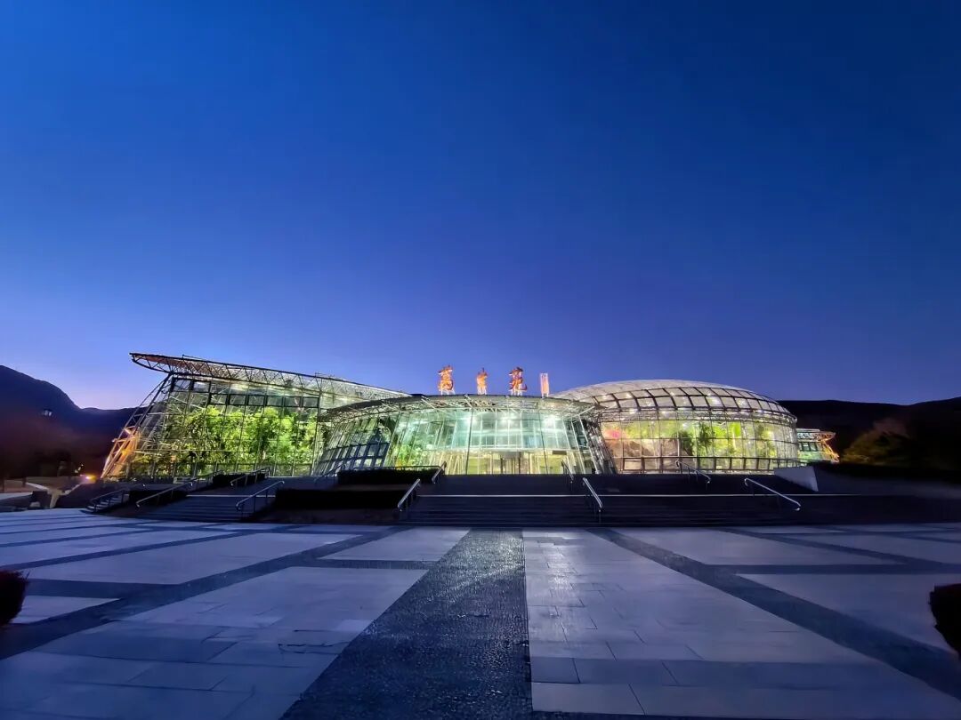 植物园夜间景观照片