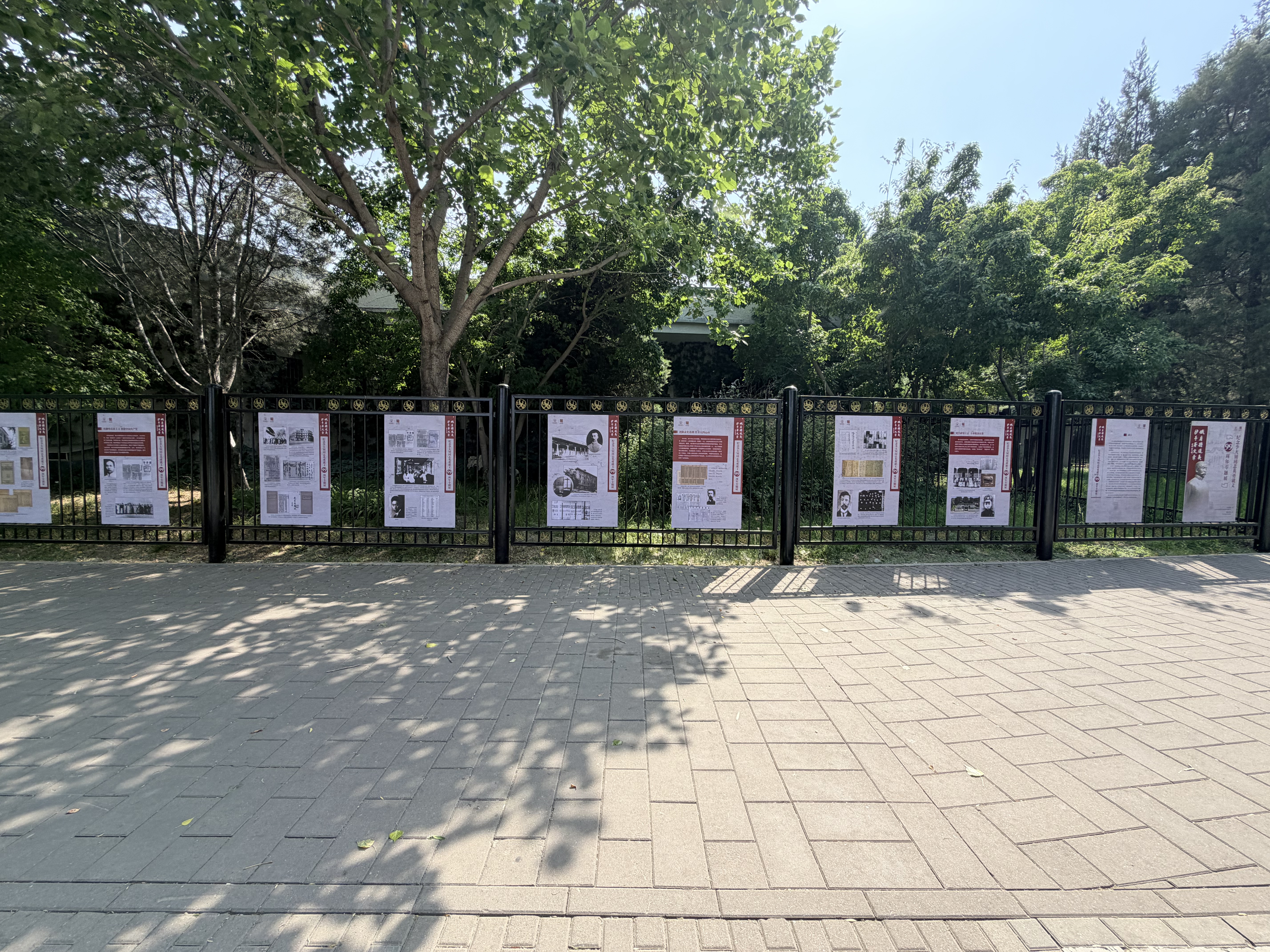 主题展览照片