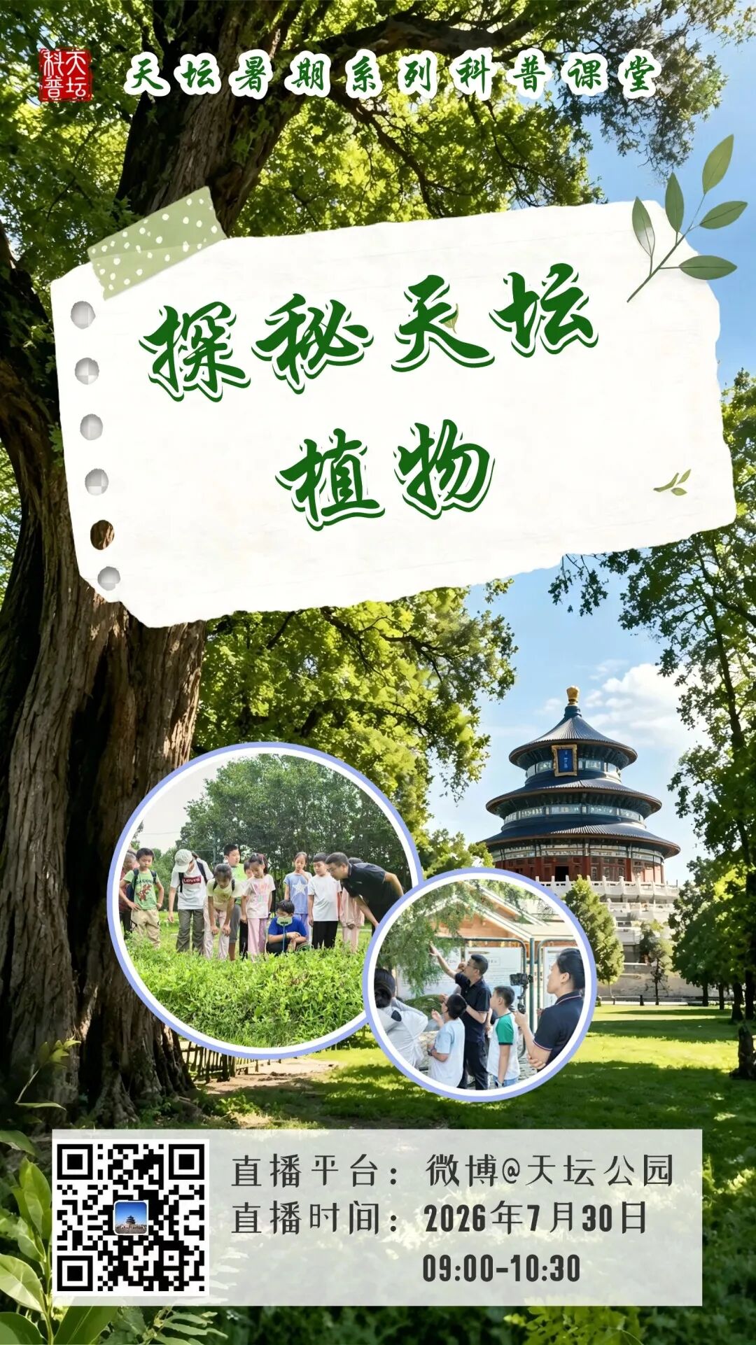 探秘天坛植物