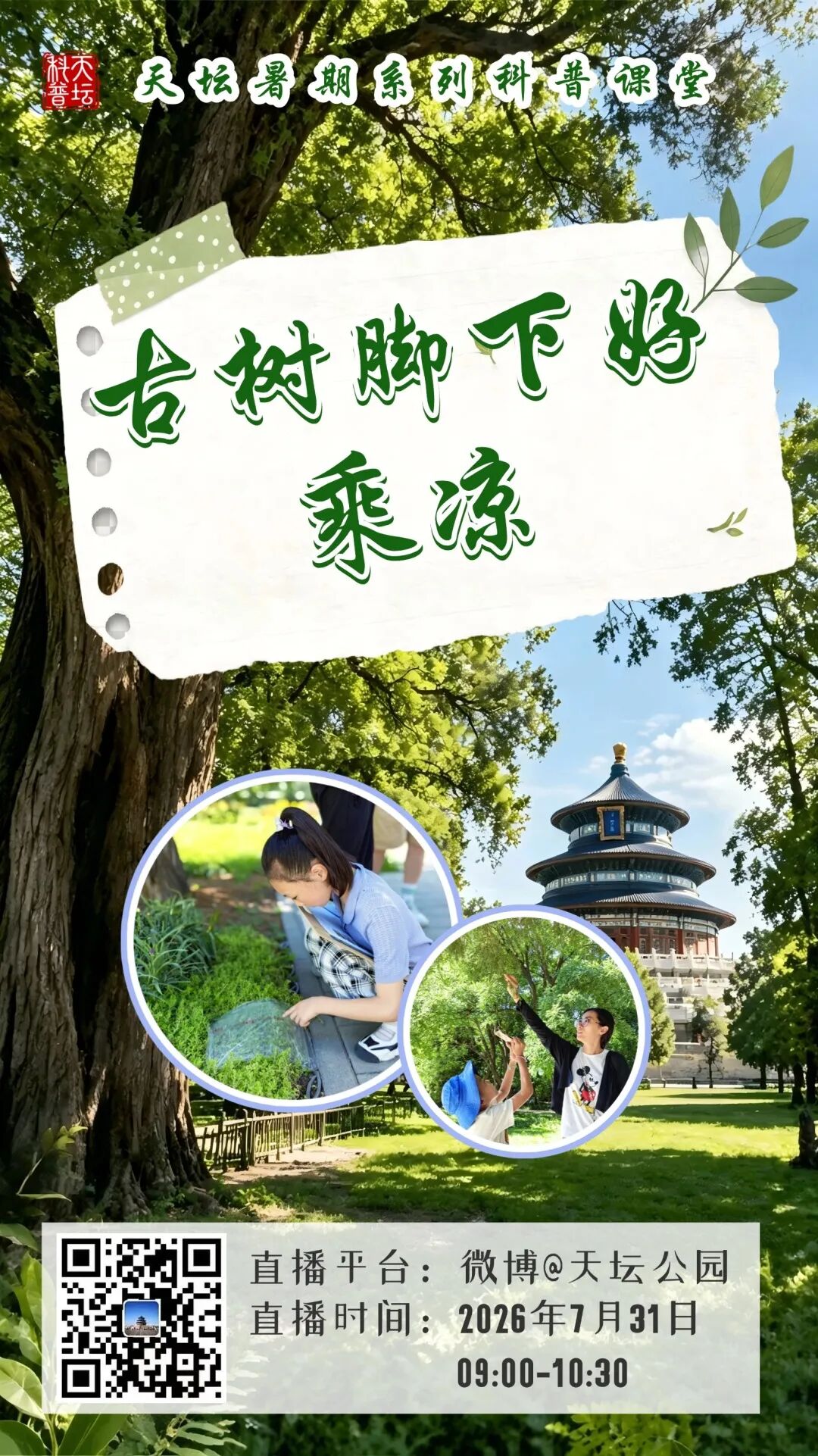 古树脚下好乘凉
