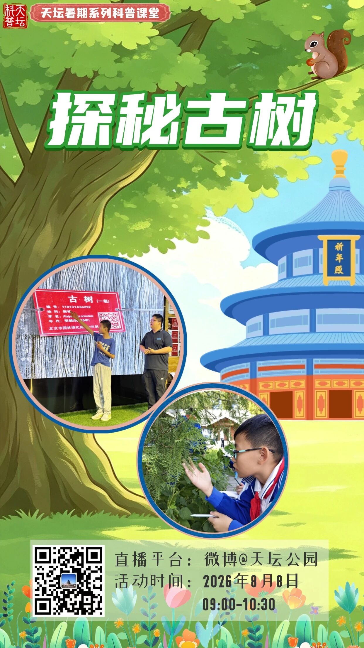 探秘古树